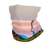 Airplane in The Evening Lights print Neck Gaiter Face Mask,Sun Cooling Scarf,Balaclava Bandana Cover for Men Women