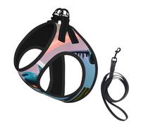 Airplane in The Evening Lights Print Soft Mesh Dog Harness and Leash Set Pet Puppy Cat Comfort Padded Vest No Pull Harnesses