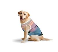 Airplane In The Evening Lightsprint Medium Large Pets Vest Breathable Cozy Home Party Sleeveless Tank Top T-Shirt