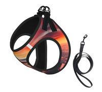 Airplane Sunsets Sky print Dog Harness and Leash Set, Reflective Adjustable Puppy Vest for Small Medium Large Dogs, Cats