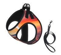 Airplane Sunsets Sky Print Pet Leash Vest Reflective Adjustable Soft Mesh Vest Breathable For Daily Walks