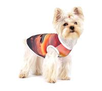 Airplane Sunsets Sky print Tshirts for Small Dogs Dog's Fashion Shirt Breathable Sleeveless Shirts for Small Dogs