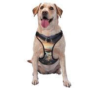 Airplanes are Soaring Medium Printed pet Traction Vest - Ideal for Dog Walking, Hiking, Daily Travel