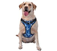 Airplanes in The Sky Pattern Dog Harness - Lightweight,Soft,Adjustable Small Harness and Leash Set, Suitable for Puppy Small and Medium-Sized Dog-Large