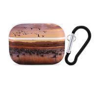 AirPods Pro 2nd Generation Hard Protective Case Cover for Women Men Bosque Del Apache Wildlife AirPods Pro Case Accessories with Keychain