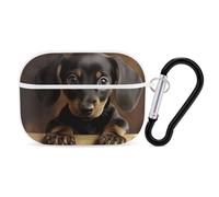 AirPods Pro Case Cover with Keychain Dog Dachshund AirPods Pro 2nd Generation Protective Cover for Women/Men
