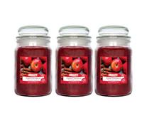 Airpure Apple Cinnamon Scented Candle Jar For Home & Office 18Oz - Pack Of 3