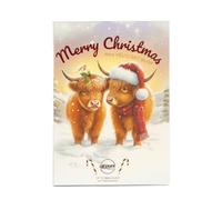 Airpure Christmas Wax Melts Gift Book 132g - Includes 12 Wax Melts in 12 Festive Fragrances (Highland Cows)
