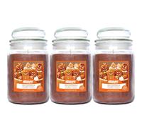 AIRPURE - Large Candle Scented, Gingerbread Fragrance - 120 Hour