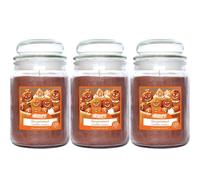 Airpure Gingerbread Spice Scented Candle For Bedroom Living Room 510g x 3