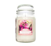 airpure Large Candle Scented, Apple Cinnamon Fragrance, 18oz Jar, 120 Hour Ornamental Candles, Fill The Room with a Warm and Homey Fragrance, for The Bedroom, Bathroom, Family Room or Office