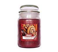 AIRPURE Large Candle Scented, Cinnamon Fragrance, 18oz Jar, 120 Hour Ornamental Candles, Fill The Room with a Warm and Homey Fragrance, for The Bedroom, Bathroom, Family Room or Office