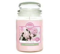 Airpure Large Scented Candle (Blush Peony) 18oz Jar Candle