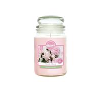 Airpure Large Scented Candle (Blush Peony) 18oz Jar Candle