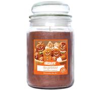 Airpure Scented Candle Jar Gingerbread Fragrance 510Gm