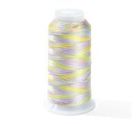 Airssory 656.17 Yards(600m) 0.2mm Segment Dyed Polyester Round Thread Colourful Jewellery Beading Cords String for DIY Jewellery Bracelet Necklace Crafts Bulk Tassel Making