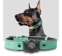 AirTag Dog Collar, Leather Dog Collar with Air Tag Holder, IPX8 Waterproof, Reflective, Adjustable Soft Padded (Teal, M)
