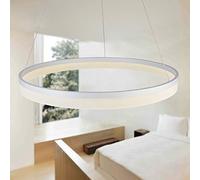 AIRUI Single Circle LED Pendant Light Modern Metal Acrylic 1-Light Chandelier Adjustable Suspended Hanging Lamp for Living Room Bedroom,White+WarmLight-20cm