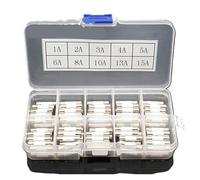 AIRUIXI ceramic fuse 100pcs Ceramic Fuse 5mm x 20mm Slow Blow T 1A 2A 3A 4A 5A 6A 8A 10A 13A 15A 250V
