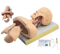 Airway Management Practice Mold Teaching Instrument Nasal Intubation Manikin, Advanced Human Tracheal Intubation Training Model