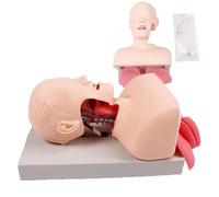 Airway Management Trainer,Oral Nasal Intubation Manikin with Tooth Alarm Device Simulator Intubation Head Teaching Study Model