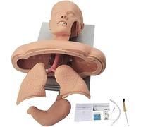 Airway Management Trainer Simulator - Intubation Manikin for Medical Training with Alarm System