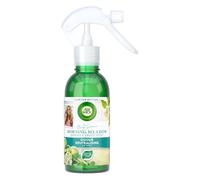 Airwick Air Freshener Room Spray Fresh Morning Meadow