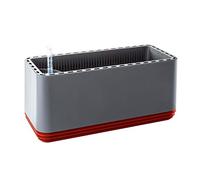 AIRY Box - Innovative Plant Pot as a Highly Effective air Purifier - Natural air Purification with houseplants Without Electricity and Chemicals (Hot Chili)