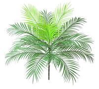 Aisamco Artificial Areca Palm Plant, 63cm | 15 Leaves, Lush Greenery, Plastic Faux Plant, Tropical Accent, Floral Arrangement Base, Living Room Decor, Indoor Garden