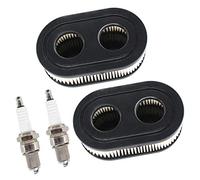 AISEN 2 x Air Filter with Spark Plug Petrol Filter for Briggs & Stratton Engines 550E 550EX Eco-Plus 575EX Series Replaces 208090S 798339 798452 593260 093000er 09P000 Engine 4247 5432 5432K