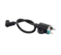 AISEN Ignition Ignition Coil for Inverter SK-1800 SK-2000 Ignition Contact Power Generator