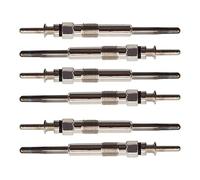 AISENPARTS 6X Diesel Heater Glow 12237786869 Replacement for 3 5 6 7 X3 E83 X5 E53 E70 X6 E71 E72 2002-2013 0250402002