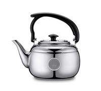AISNXOQI 1L Whistling Boiling Water Pot Stainless Steel Kitchen Kettle Tea Infuser Teapots