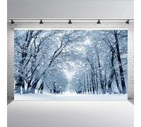 Aisnyho Winter Snow Scene Backdrop Snowflake Forest Natural Scenery Landscape Wonderland Backdrops Background for Photography Portrait Decorations New Year Xmas Picture Banner (8x6FT)
