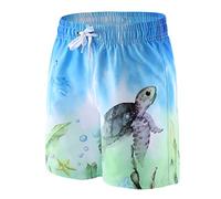 Aisyee Boys Board Shorts Kids Swim Shorts Boys Swimming Trunks 9-10 Years