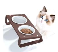 AITEE Acrylic Elevated Dog and Cat Bowls Set, Tilted Dog Bowl with 2 Set Removable Ceramic Bowls, Food and Water Raised Bowls for Puppy and Cats(14.17inx7.64inx3.43in)