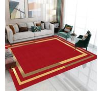 AITROMNI Rug WashableDecorative Home AccessoriesLiving room carpet red corridor non-slip carpet easy to take care ofGaming RugPlayroom Rug140X200CM