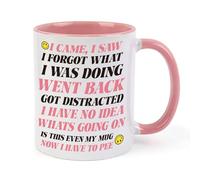 Aitsite Funny I Came I Saw I Forgot Mug, Humorous Coffee Cup,Funny Novelty Gift for Women Men Mum Dad Friend Colleague Birthday Christmas Retirement Gift,11Oz Ceramic Cup Dishwasher Safe Mugs,Pink