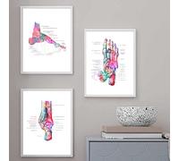 AIVYNA Foot Bone Anatomy Artwork Medical Wall Art Picture Podiatry Poster Muscle System Vintage Canvas Painting Print Body Home Decor Frameless-50×70cm×3pcs