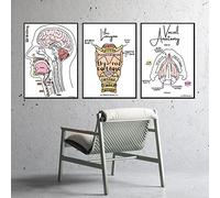 AIVYNA Human And Head Brain Vocal Anatomy Poster Vintage Print Neuroscience Physiology Wall Art Pictures Doctors Office Home Decoration Frameless 40×60cm×3pcs