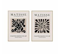AIVYNA Matisse Picasso Posters Coral Leaf Canvas Wall Art Matisse Picasso Prints Creativity Painting Vintage Pictures Living Room Bedroom Decor Frameless 50×70cm×2pcs