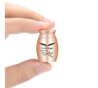 AIWENXI Small Urns Cremation Keepsakes for Ashes- Super Mini Cremation Urns for Human or Pet Ashes Urns Stainless Steel Memorial Ashes Holder