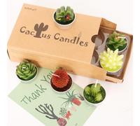AIXIANG 6 Styles Cactus Tealights Candle Delicate Succulent Tealight Candles for Home Decor New Year Presents, Housewarming, Mothers' Day,Christmas Gifts and Decorations (6 Pcs)