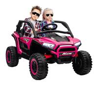AIYAPLAY 2 Seater 24V 7AH Ride on Truck w/ Spring Suspension in Pink AIYAPLAY Pink