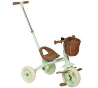 AIYAPLAY Kids Tricycle for 2-5 Years Old, 2-In-1 Toddler Trike with Adjustable Parent Handle, Pedals, Footrests, Storage Basket, 3 Wheel Bike for Boys and Girls, Green