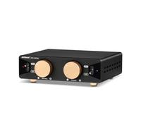 AIYIMA A70 Mono Power Amplifier with PFFB TPA3255 Mini Class D Amp with Subwoofer HiFi Home Theater Receiver with RCA/XLR/Trigger Input for Bookshelf Passive Speakers 48V/5A Power Supply