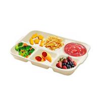 AIYoo Large Divided Porcelain Sectional Plates,Square Portion Control Plate for Balanced Diet,12.5Inch Ceramic Divided Plates for Adults,5 Compartment Kitchen Food Dish,Ivory White