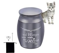 Aizuoni Keepsake Cremation Urns | Small Keepsake Urns for Pet Ashes | Stainless Steel Cremation Urns for Ashes Pet Memorial Ashes Urn Memorial Ashes Holder for Cats And Dogs