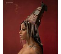 AJA MONET - WHEN THE POEMS DO WHAT THEY DO [VINYL]