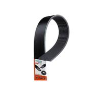 AJANTA INDUSTRIAL DSH600X 12'' Drive Belt, Multi Ribbed, Replaces Hilti 2215590